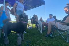 IMG-20230915-WA0026