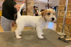 14_PRED_JRT2