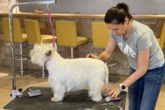 29_Grooming-rozne-1