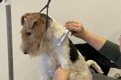 29_Grooming-rozne-6