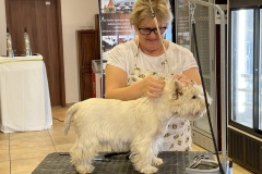29_Grooming-rozne-7