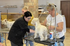 29_Grooming-rozne-9