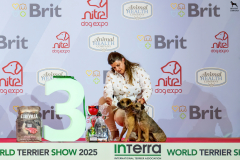 20250613_181609_A2_08082-De