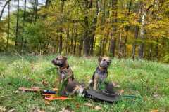 IMG-20221024-WA0012