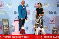 20250614_155409_A0_05208-De