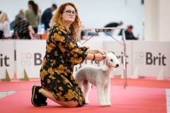 dog-expo-nitra-22-1007