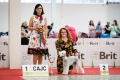 dog-expo-nitra-22-1008