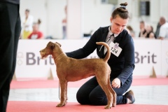 dog-expo-nitra-22-1019