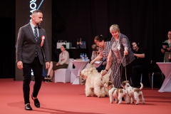 dog-expo-nitra-22-1021