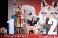 dog-expo-nitra-22-1028