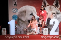 dog-expo-nitra-22-1029