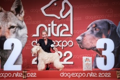 dog-expo-nitra-22-1030