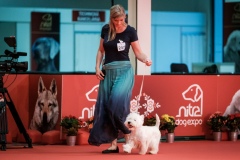 dog-expo-nitra-22-1032