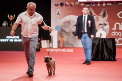 dog-expo-nitra-22-1036