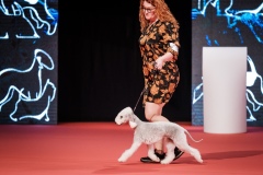 dog-expo-nitra-22-1038