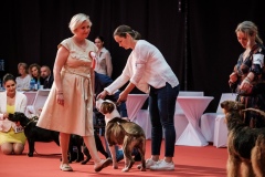 dog-expo-nitra-22-1041
