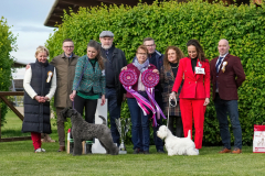 KVT Šamorín 20.4.2024 (Martin Odraska)