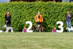20240420_163902_A0_01263-De