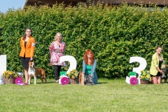 20230527_161050_A4_04962-de