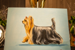 terriers-1