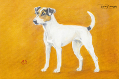 terriers-137