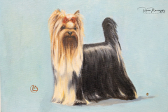 terriers-142
