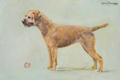 terriers-143