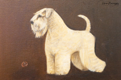 terriers-145