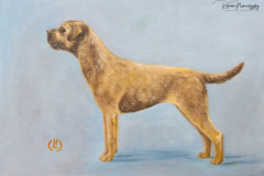terriers-146