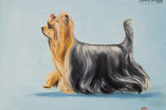terriers-150