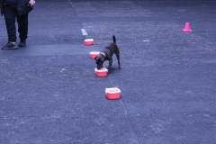 278061557_5470894352923774_3316711371785999565_n