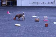 278072120_5470893969590479_3738527492584935245_n