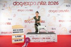 DOPO_SO-2019