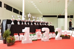 aDSC_9861