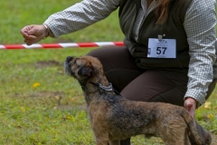 A80A4454_DxO