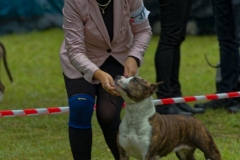 A80A4557_DxO