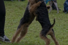 A80A4649_DxO