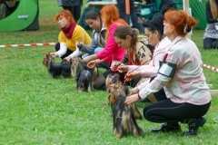 foto31