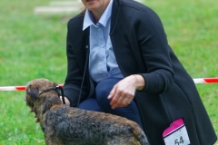 foto7