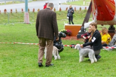 foto9