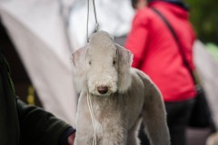 DSC_0031