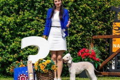 20230528_152658_A1_05265-de
