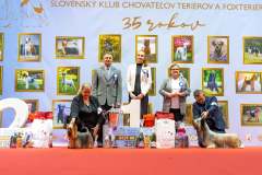 ŠVT Viničné 29.11.2025