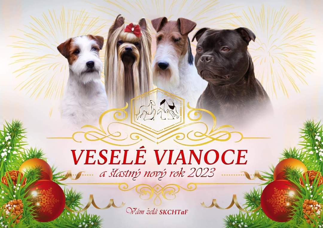 Read more about the article VESELÉ VIANOCE A ŠŤASTNÝ NOVÝ ROK 2023