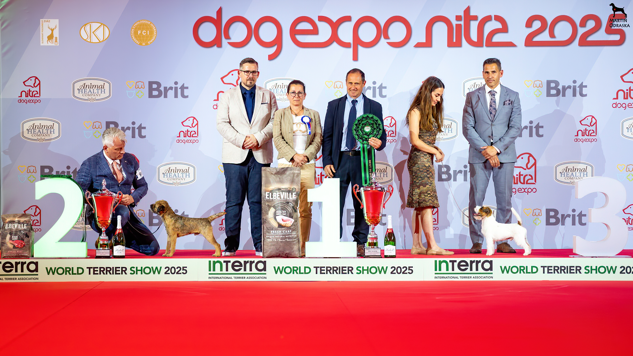 Read more about the article VÝSLEDKY InTerra a KVT / RESULTS InTerra & Club Show Nitra 13.-14.6.2025